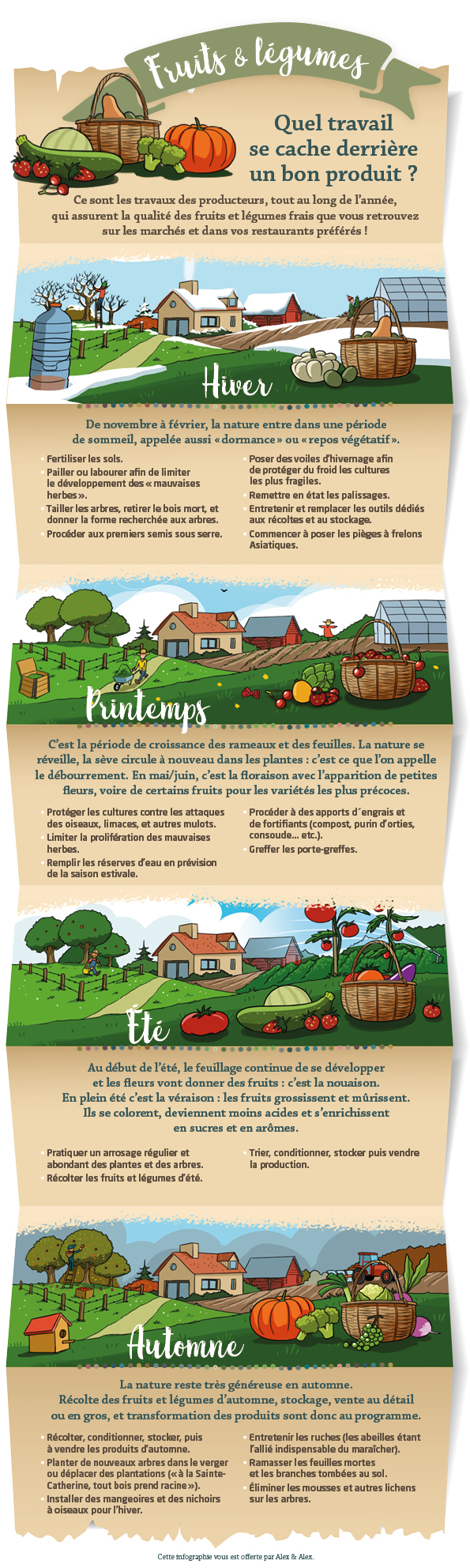 Infographie marché