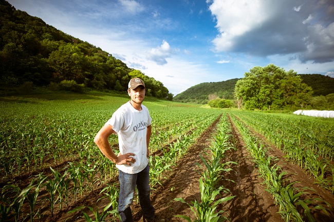 Producteur - agriculteur