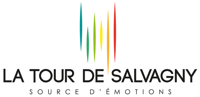 Logo La tour de Salvagny